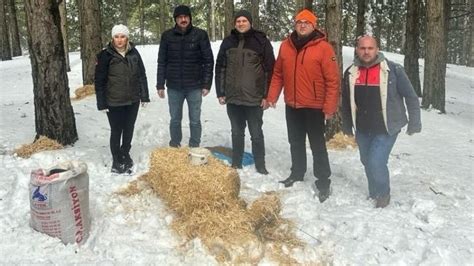 Kazdağları’nda kar yağışı ve aşırı soğuk nedeniyle yaban hayvanları için yem bırakıldı